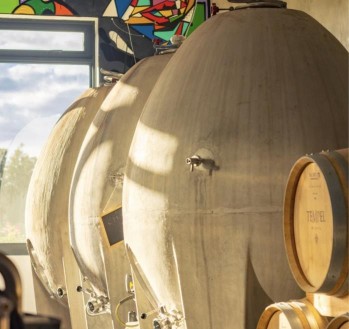 a photo of barrels at Tempel Wines